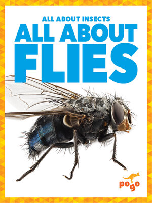 cover image of All About Flies